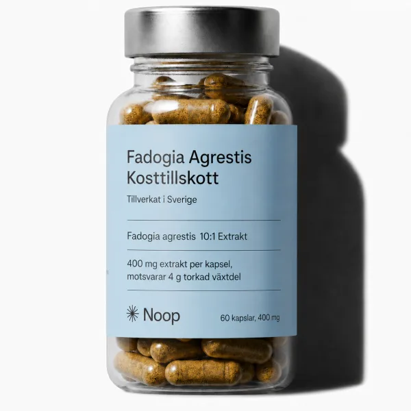 Noop Fadogia Agrestis, burk