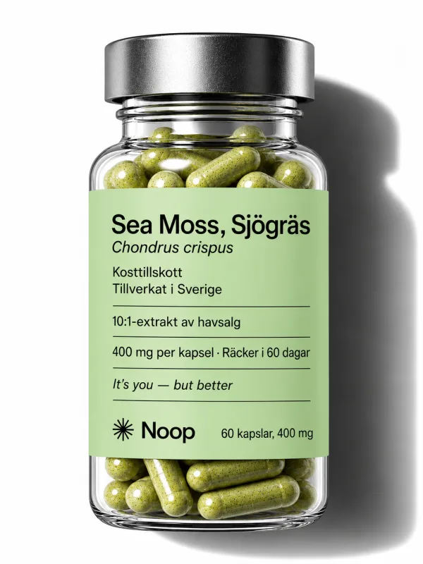 Noop Irish Sea Moss, burk